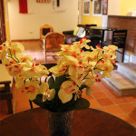 Flores_sala