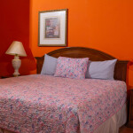 TEXARKANA (6)_result